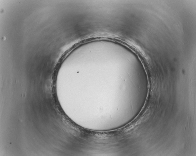 X0000088071264200706011505