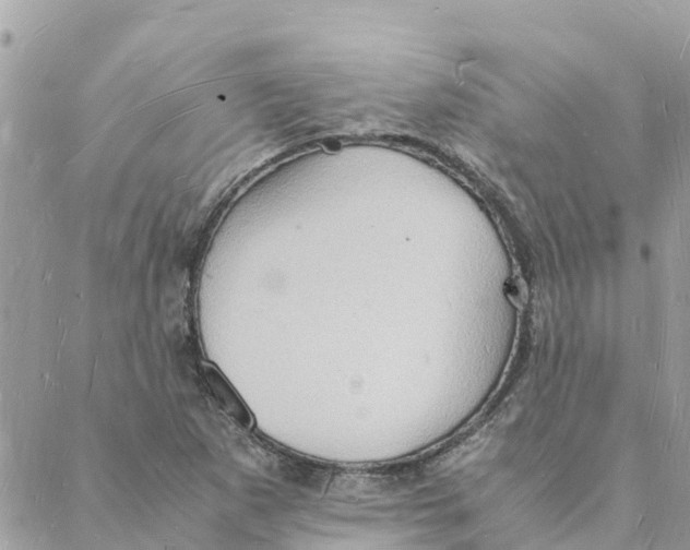 X0000088071265200706011505