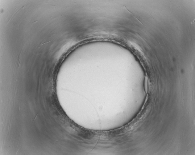 X0000088071267200706011504