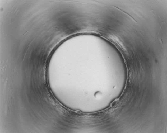 X0000088071268200706011504