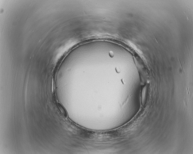 X0000088071269200706011504