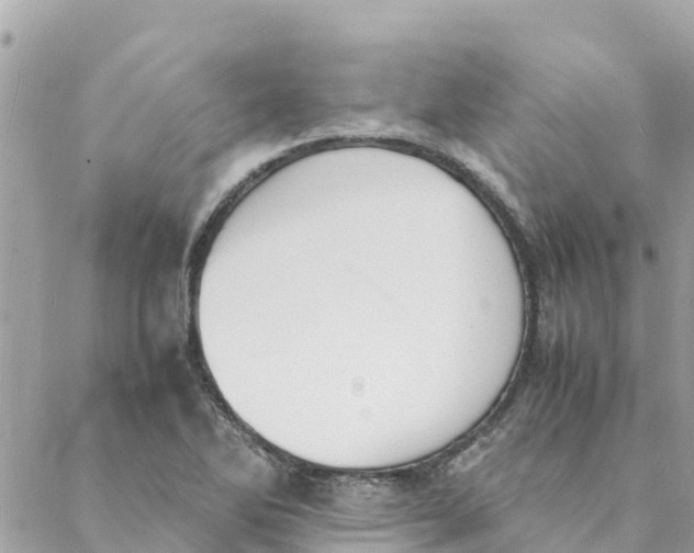 X0000088071270200706011504