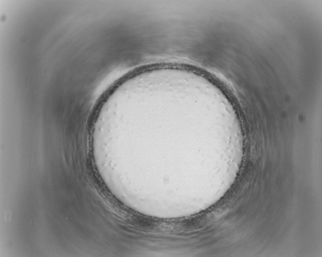 X0000088071271200706011504