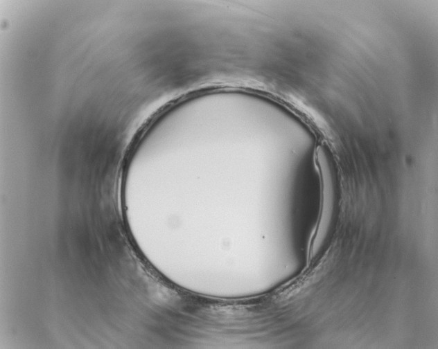 X0000088071272200706011504