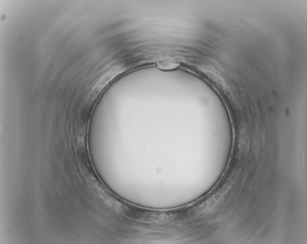 X0000088071273200706011504