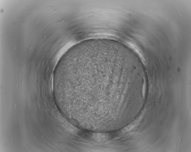 X0000088071275200706011504