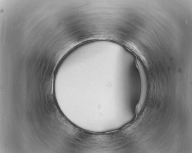 X0000088071276200706011504