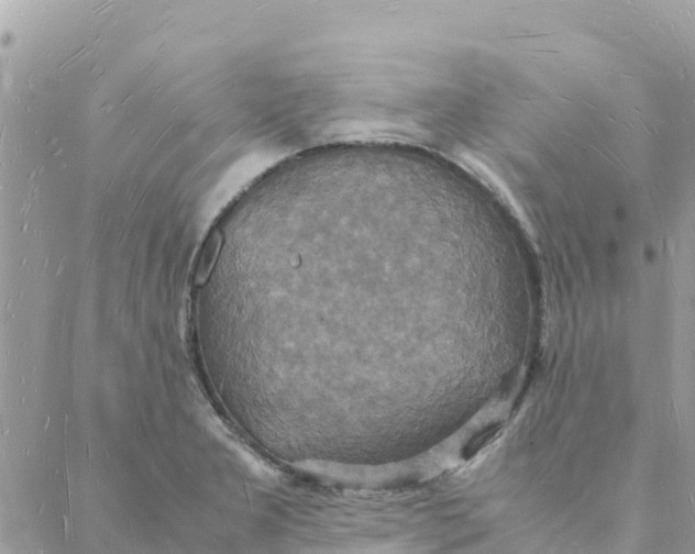 X0000088071277200706011504