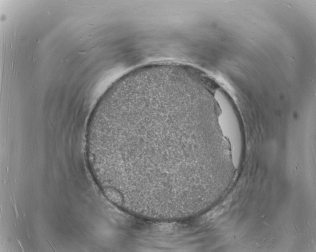 X0000088071279200706011504