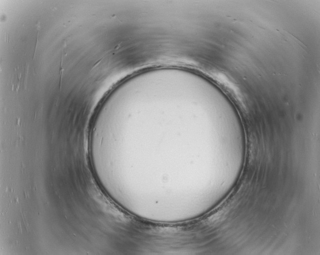 X0000088071280200706011504