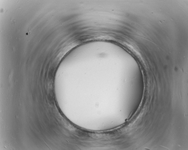 X0000088071281200706011504