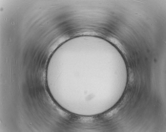 X0000088071282200706011504