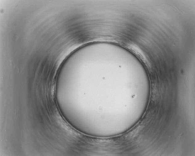 X0000088071284200706011504