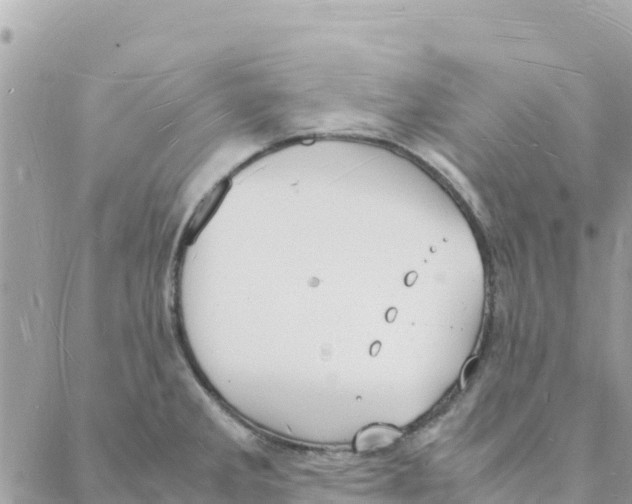 X0000088071285200706011504