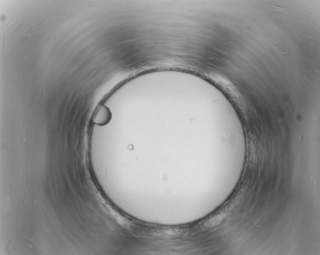 X0000088071286200706011504