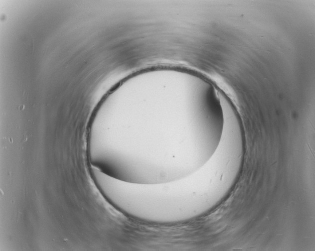 X0000088071287200706011504