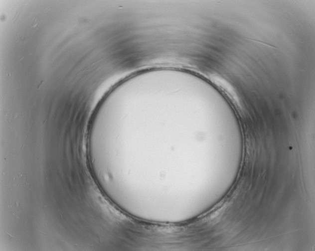 X0000088071288200706011504