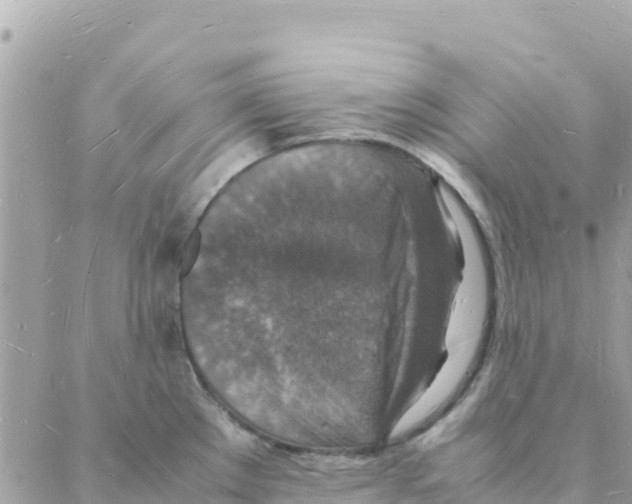 X0000088071289200706011504