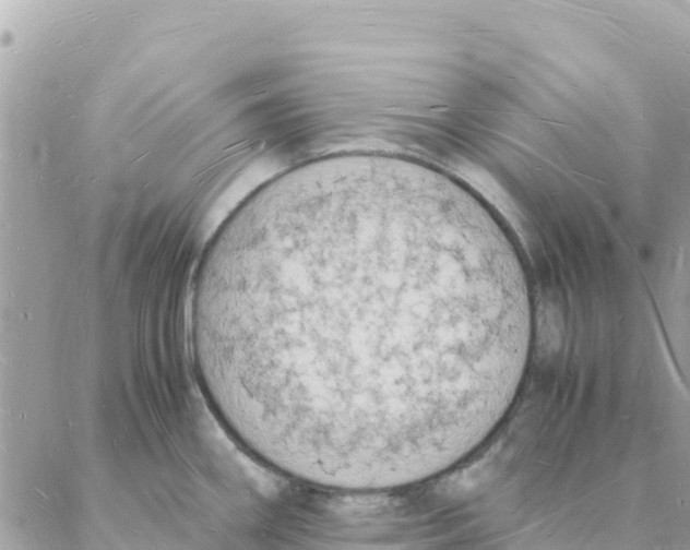 X0000088071290200706011504