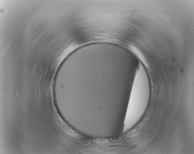 X0000088071291200706011504