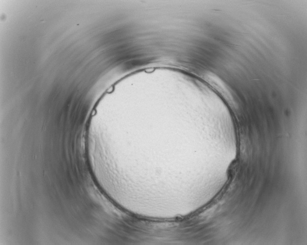 X0000088071292200706011504