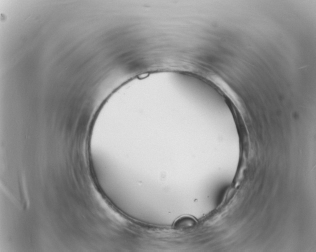 X0000088071293200706011504