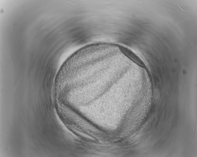 X0000088071295200706011504