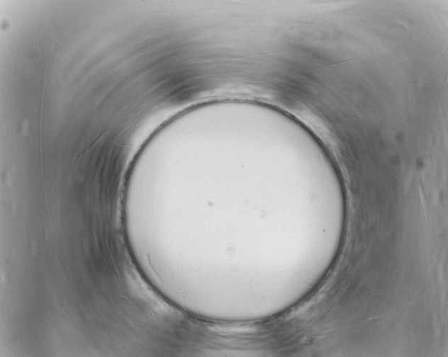 X0000088071296200706011504