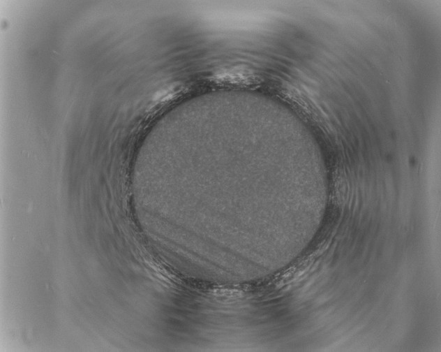 X0000088071297200706011503