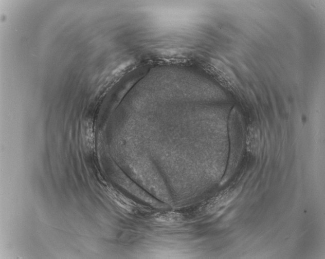 X0000088071298200706011503