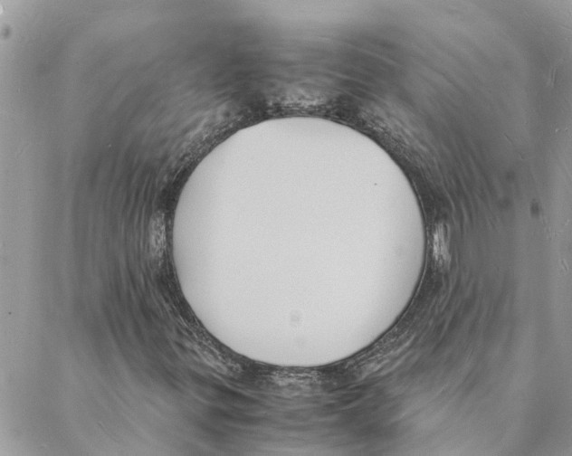 X0000088071299200706011503