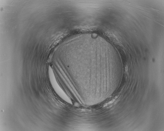 X0000088071300200706011503