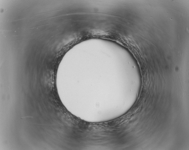 X0000088071301200706011503