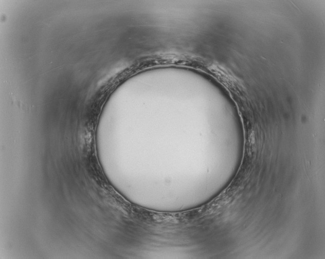 X0000088071302200706011503