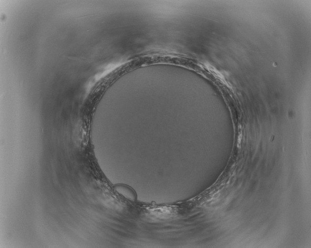 X0000088071303200706011503