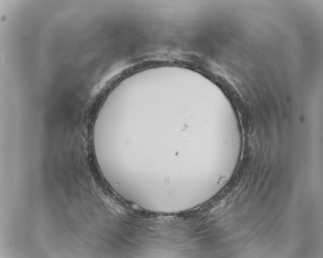 X0000088071304200706011503