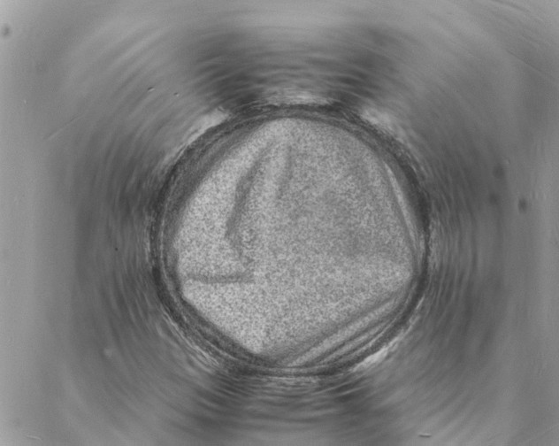 X0000088071305200706011503