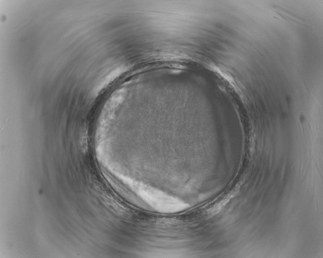 X0000088071306200706011503