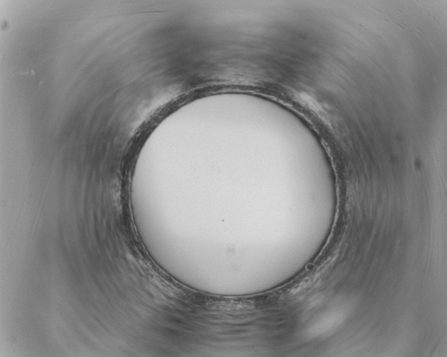 X0000088071307200706011503