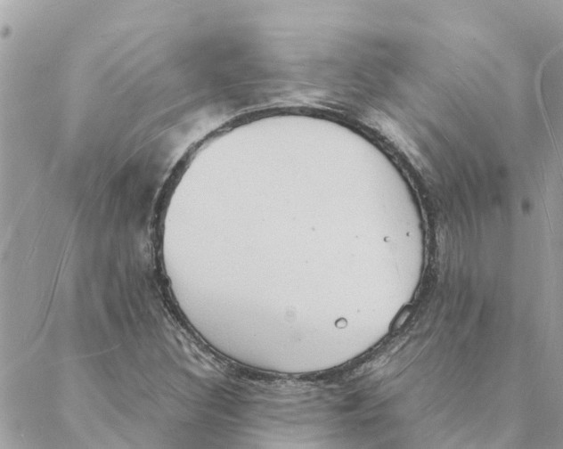 X0000088071308200706011503