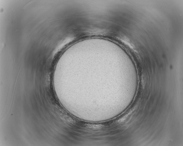 X0000088071309200706011503