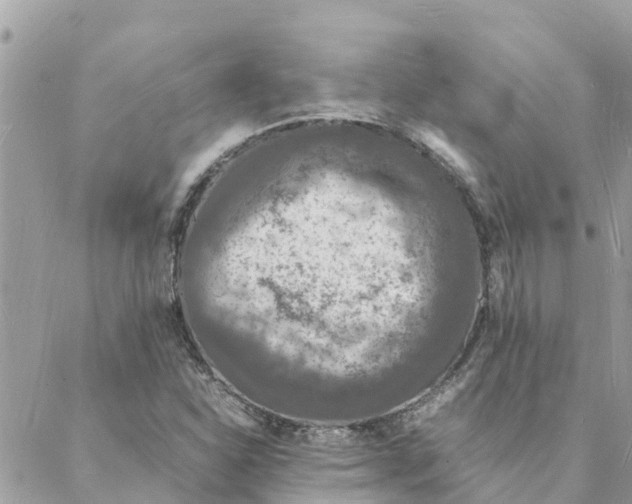 X0000088071310200706011503