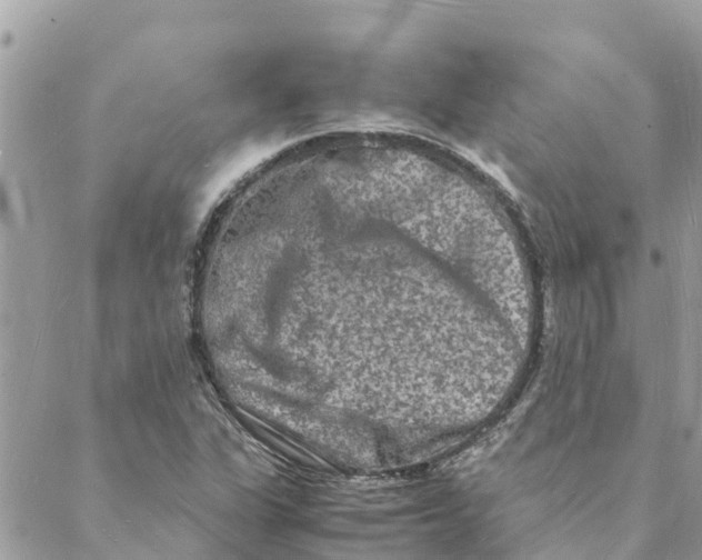 X0000088071311200706011503