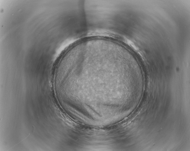 X0000088071312200706011503