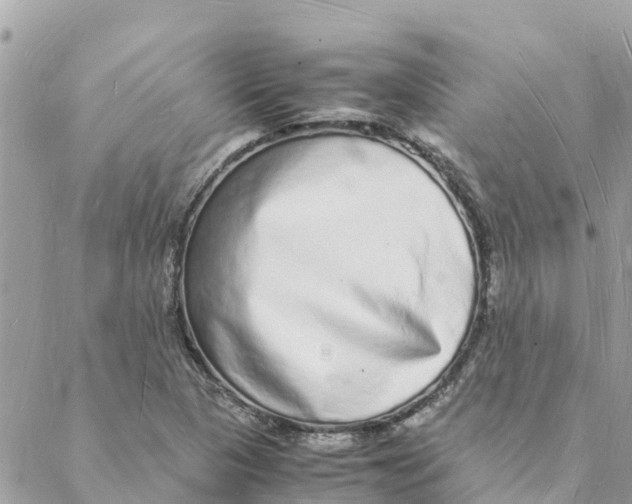 X0000088071313200706011504