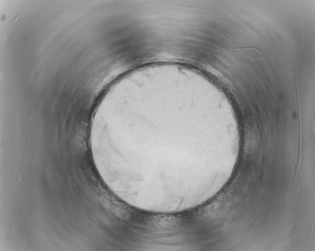 X0000088071314200706011504