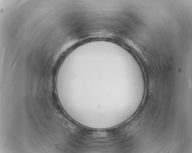 X0000088071315200706011504