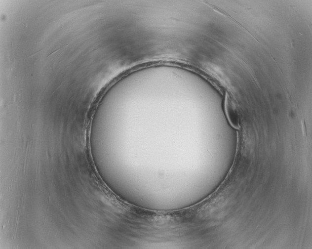 X0000088071316200706011504