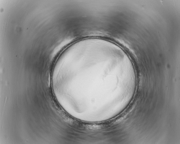 X0000088071317200706011504