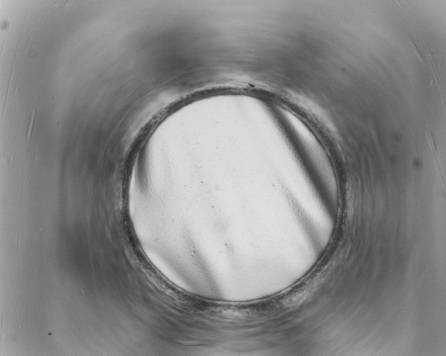 X0000088071318200706011504